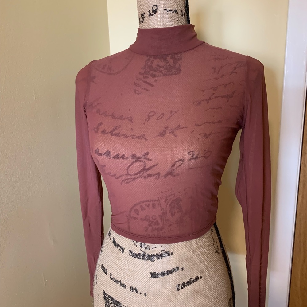 Mesh Turtleneck Crop Top